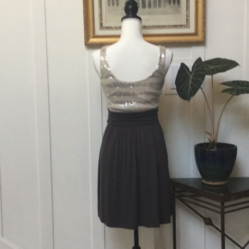 Express Dress - Picture 5 of 5